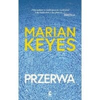Przerwa