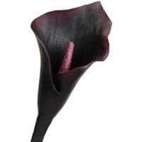 Sztuczny kwiat Black Arum