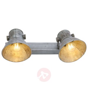 Gabriel - 2-pkt lampa sufitowa z ruchomymi spotami