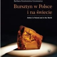 Bursztyn w Polsce i na świecie