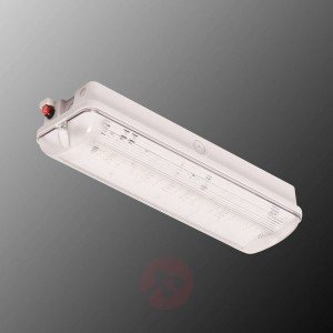 Lampa bezpieczeństwa LED V-Lux Classic IP65