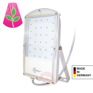 Lampa LED Astir do roślin