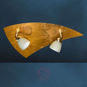 Wspaniała lampa sufitowa ELEGANCE 2-punktowa