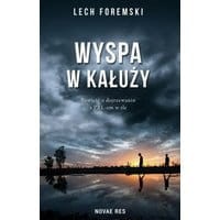 Wyspa w kałuży