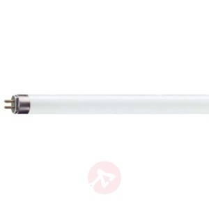 G5 TL5 świetlówka MASTER HO 24W-865