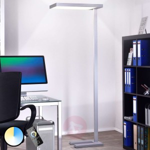 Elastyczna lampa stojąca LED Paul z pilotem