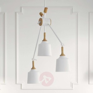 Regulowana lampa wisząca Danika 3-punktowa