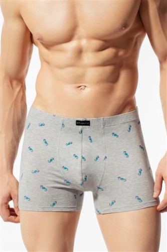 b06493a8debd82d4574def82fabcd9c0