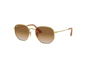 Ray-Ban Hexagonal RB3548N 001 48
