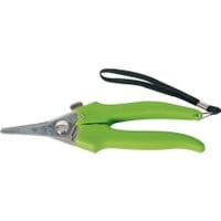 Sekator Pointy