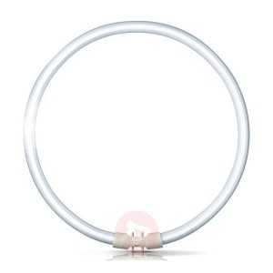 2GX13 60W - 840 świetlówka kołowa Master TL5