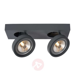 2-punktowy spot sufitowy LED Nenad, szary