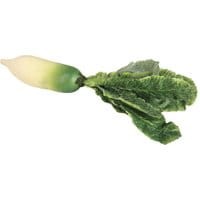 Dekoracja Turnip