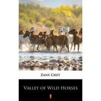 Valley of Wild Horses
