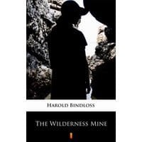 The Wilderness Mine