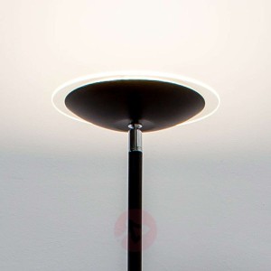 Czarna lampa oświetlająca sufit LED Malea