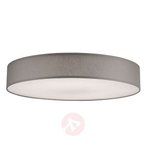 Ściemniana lampa sufitowa LED Luno, jasnoszara