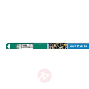G13 T8 25 W światło dzienne, lampa spec. Aquastar