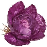 Dekoracja Purple Cabbage