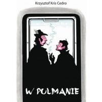 W pulmanie pociągu pośpiesznego PKP relacji Gdynia - Przemyśl