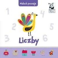 Maluch poznaje. Liczby