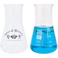 Kolba Erlenmeyera Natural History 300 ml