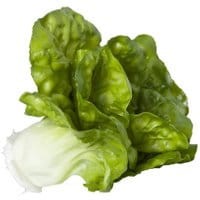 Dekoracja Small Lettuce