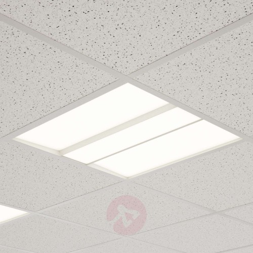 827d837ab256e7ce538fa2ce6e391b3f