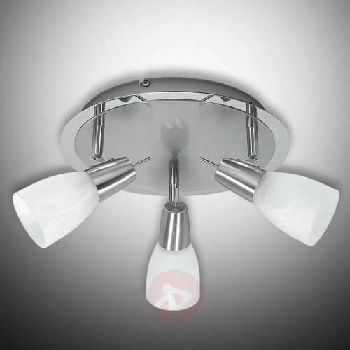 856d93b38e804c2dbb80ca09aee63981