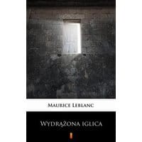 Wydrążona iglica