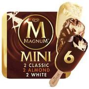 Magnum - zestaw lodów rózne smaki 6x55ml