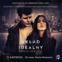 Układ idealny