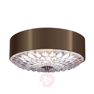 Baśniowa lampa sufitowa Botanic