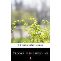 Crooks in the Sunshine