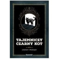 Tajemniczy czarny kot