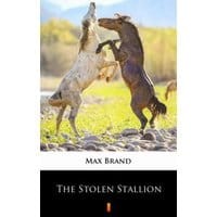 The Stolen Stallion