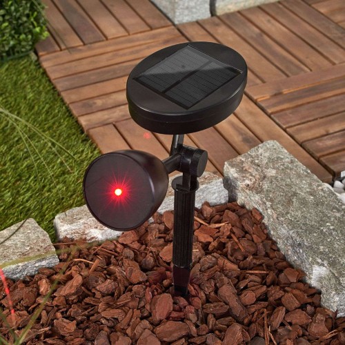 8cda6699480595921dbd8be9f6ab46fc