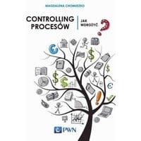 Controlling procesów