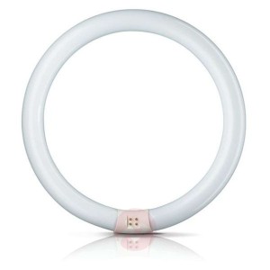 G10q 32W 840 świetlówka Master Circular TL-E