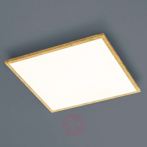 Helestra Rack lampa sufitowa LED kątowa złota