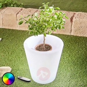 Świecąca doniczka LED Leyra, RGB, pilot