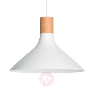 Tunnel - nowoczesna lampa wisząca z drewnem