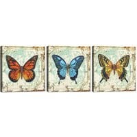 Zestaw 3 obrazów Butterflies 30x30 cm