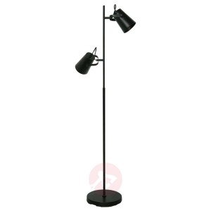Lampa stojąca LED Lettura, czarna, 2-punktowa
