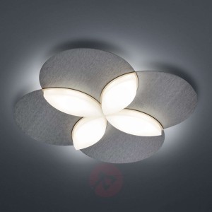 BANKAMP Spring lampa sufitowa LED, antracyt matowy