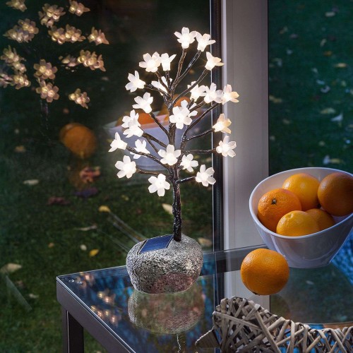 9c2142e09093221bd03b42cbe1e5225d