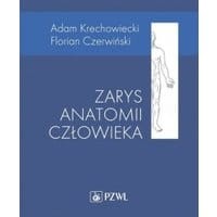 Zarys anatomii człowieka