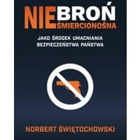 Broń nieśmiercionośna jako środek umacniania bezpieczeństwa państwa