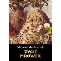 Życie mrówek