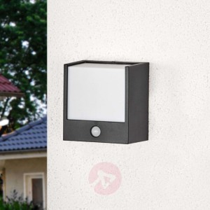 Lampa ścienna zewn. LED Macaw z czujnikiem ruchu